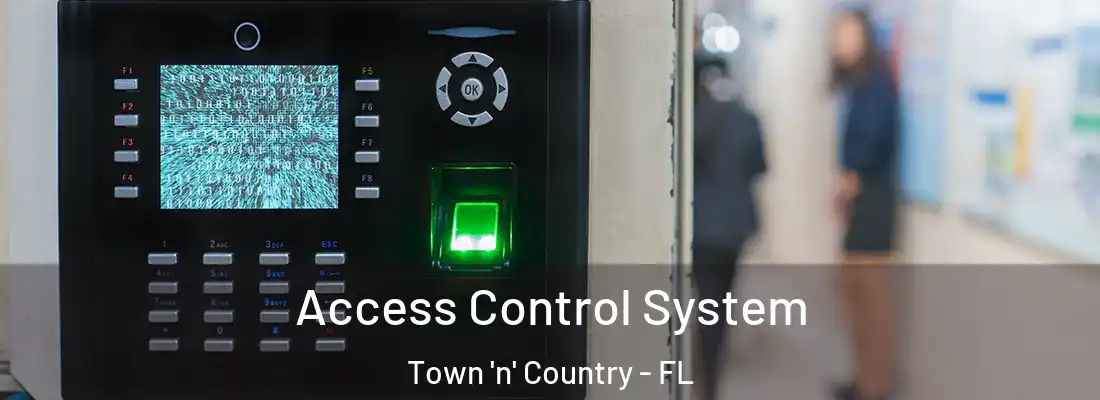  Access Control System Town 'n' Country - FL