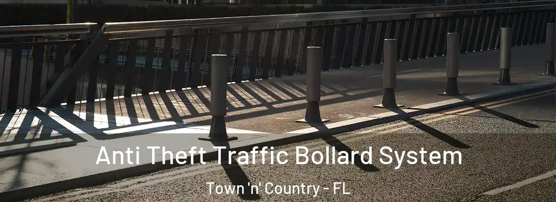  Anti Theft Traffic Bollard System Town 'n' Country - FL