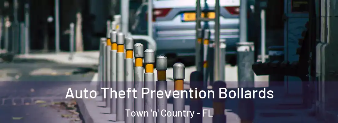  Auto Theft Prevention Bollards Town 'n' Country - FL