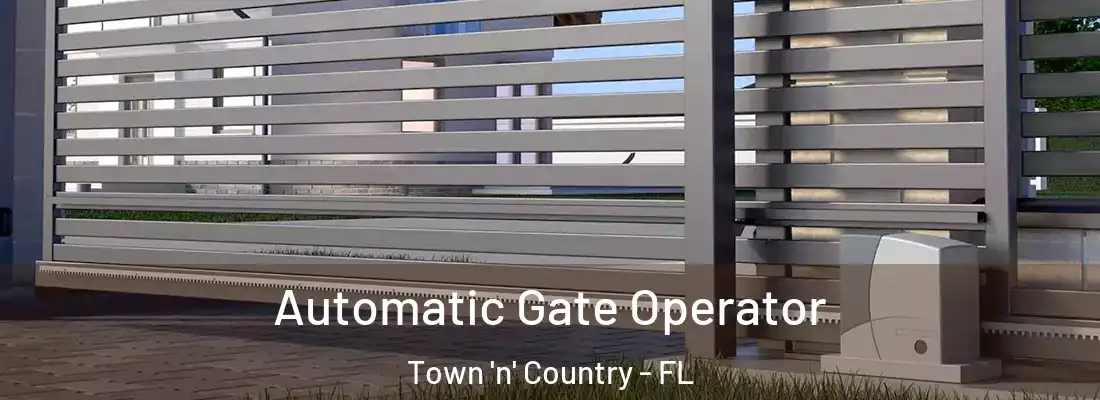  Automatic Gate Operator Town 'n' Country - FL