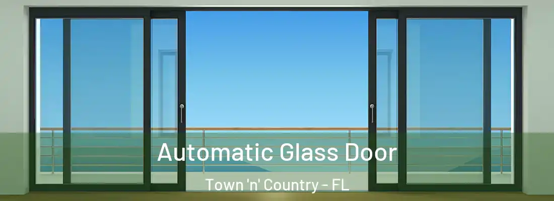  Automatic Glass Door Town 'n' Country - FL