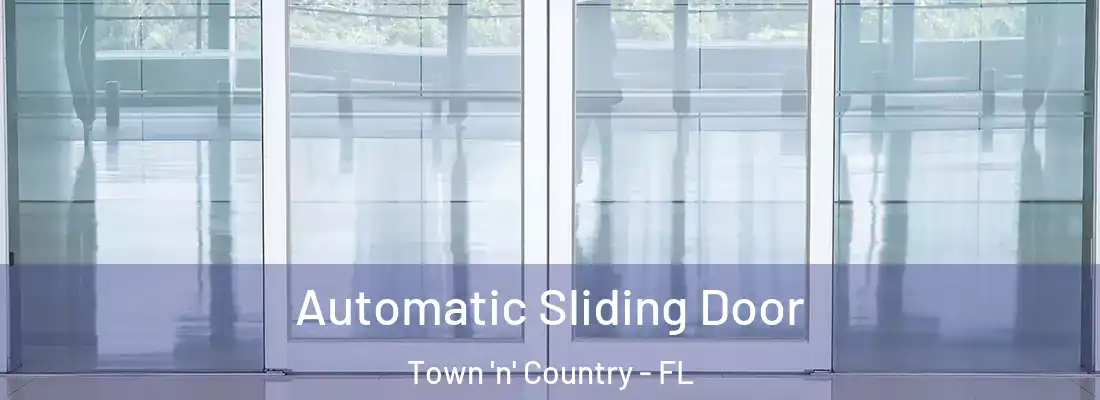  Automatic Sliding Door Town 'n' Country - FL
