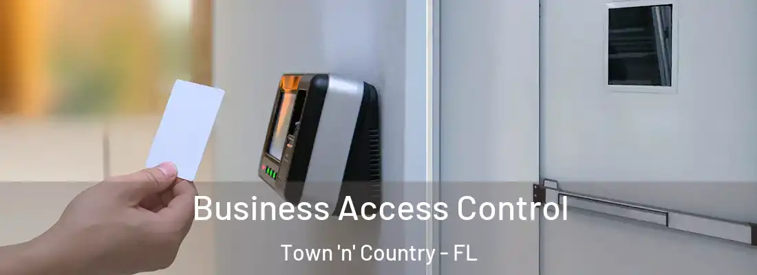  Business Access Control Town 'n' Country - FL