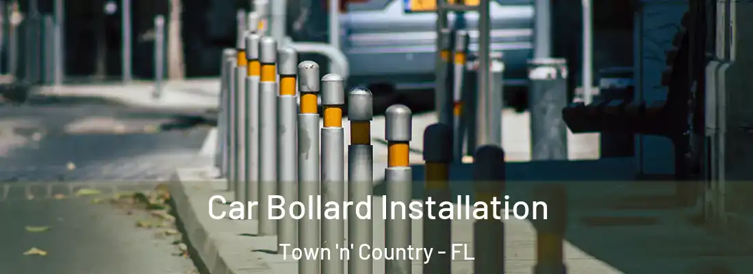  Car Bollard Installation Town 'n' Country - FL