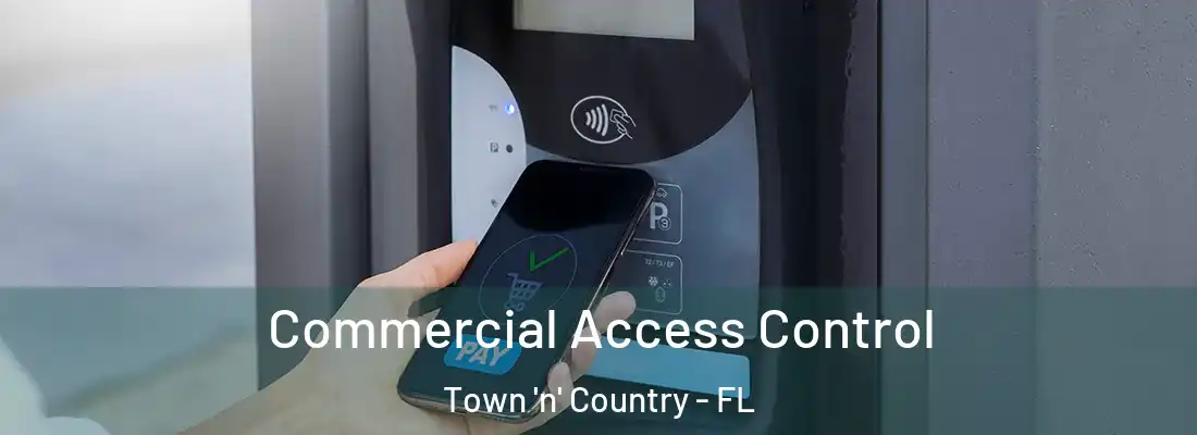  Commercial Access Control Town 'n' Country - FL