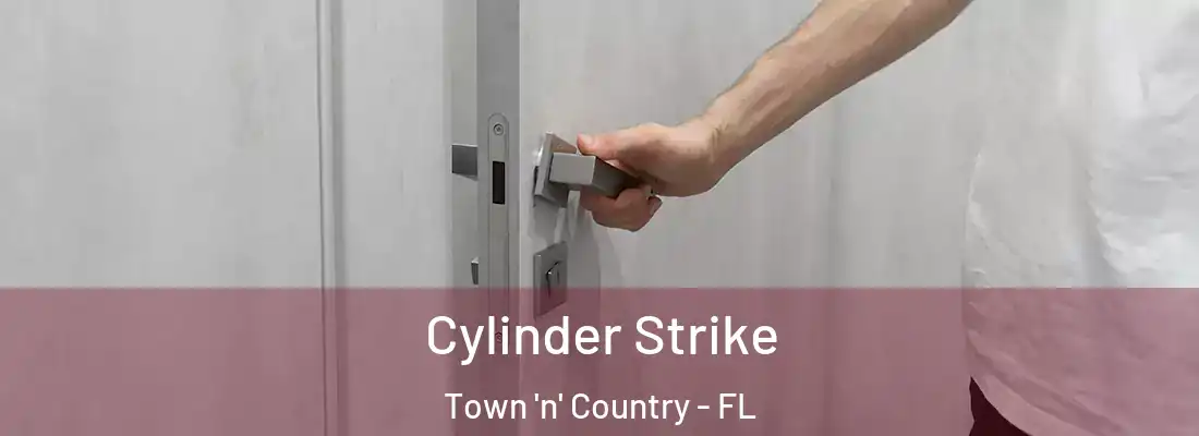  Cylinder Strike Town 'n' Country - FL