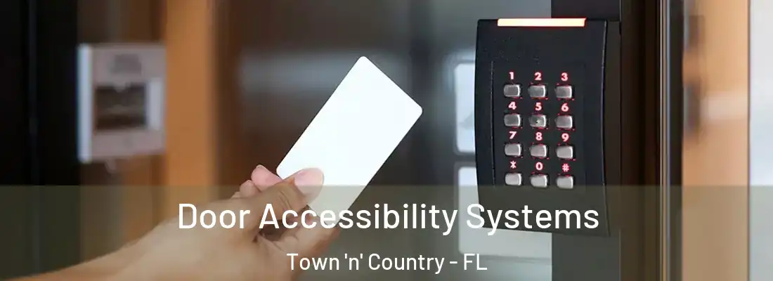  Door Accessibility Systems Town 'n' Country - FL