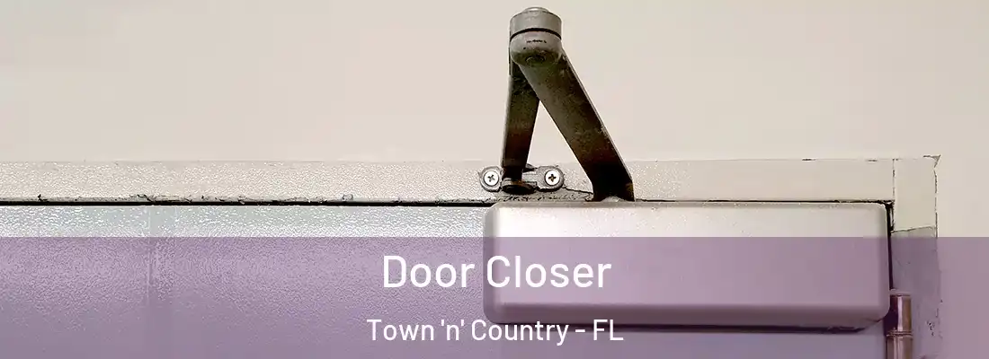 Door Closer Town 'n' Country - FL