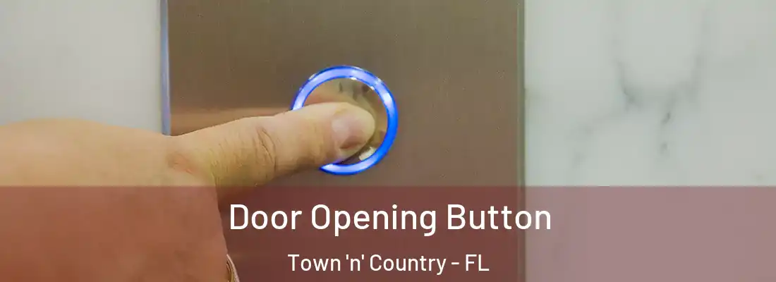  Door Opening Button Town 'n' Country - FL