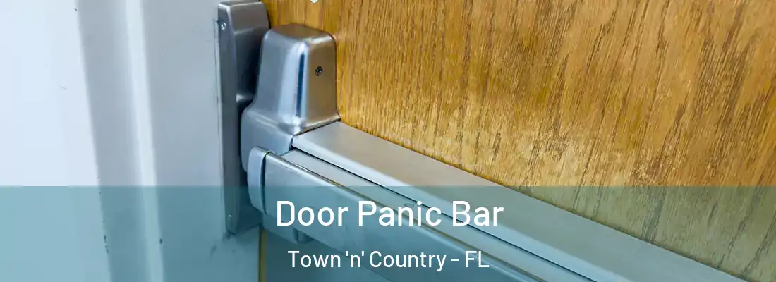  Door Panic Bar Town 'n' Country - FL