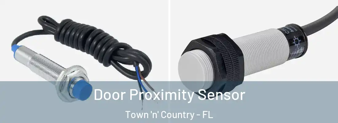  Door Proximity Sensor Town 'n' Country - FL