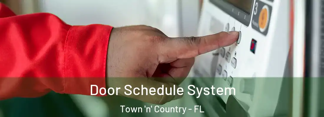  Door Schedule System Town 'n' Country - FL