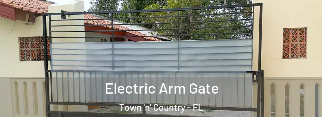  Electric Arm Gate Town 'n' Country - FL