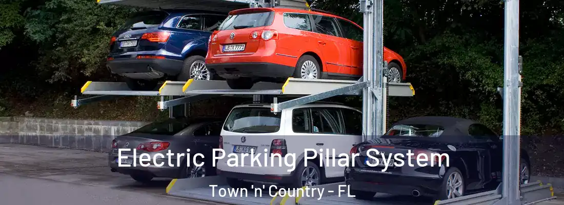  Electric Parking Pillar System Town 'n' Country - FL