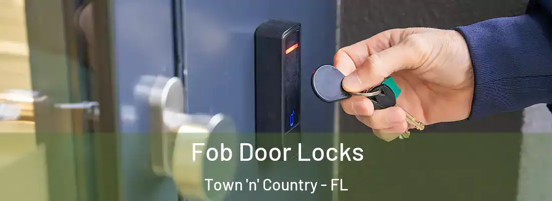 Fob Door Locks Town 'n' Country - FL