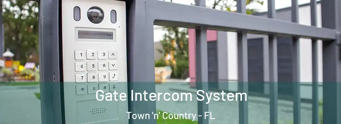  Gate Intercom System Town 'n' Country - FL