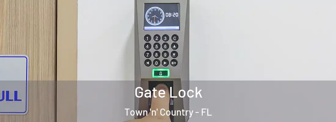  Gate Lock Town 'n' Country - FL