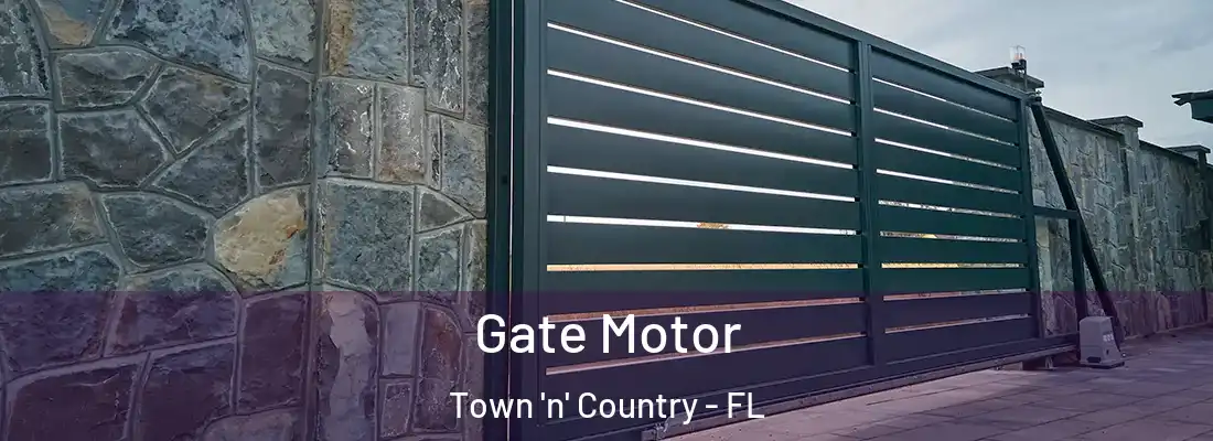  Gate Motor Town 'n' Country - FL