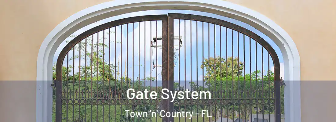  Gate System Town 'n' Country - FL