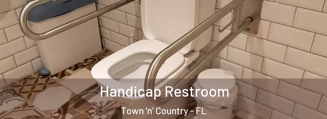  Handicap Restroom Town 'n' Country - FL
