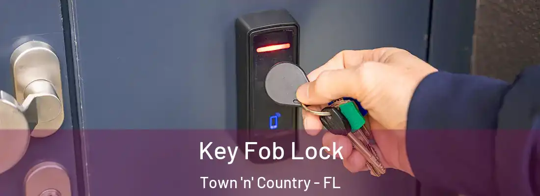  Key Fob Lock Town 'n' Country - FL