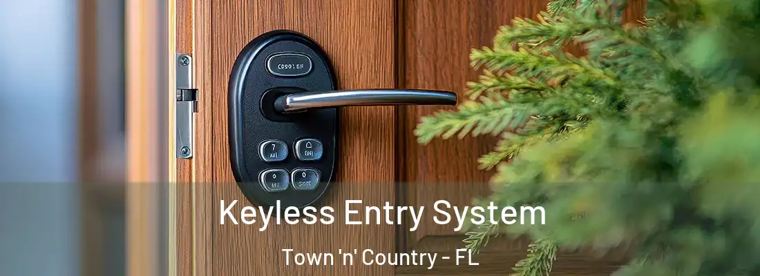  Keyless Entry System Town 'n' Country - FL