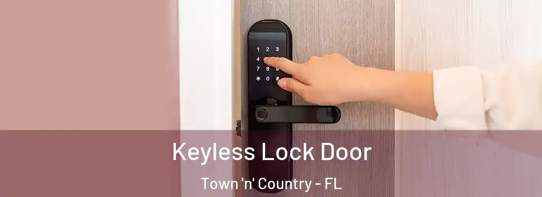  Keyless Lock Door Town 'n' Country - FL
