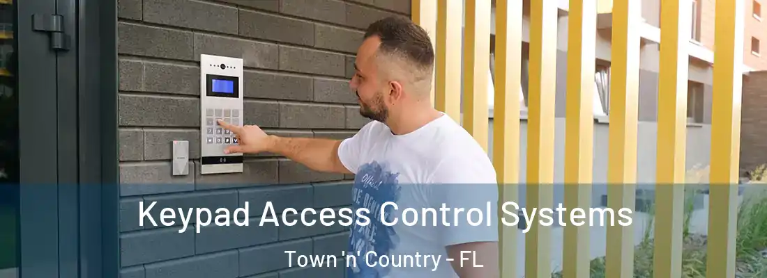  Keypad Access Control Systems Town 'n' Country - FL