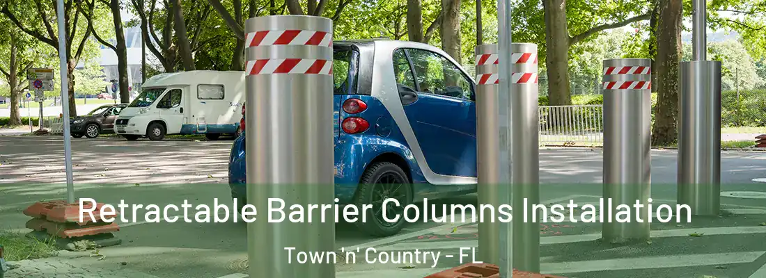  Retractable Barrier Columns Installation Town 'n' Country - FL