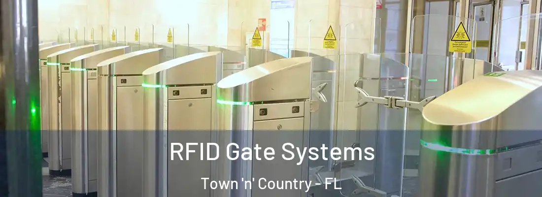  RFID Gate Systems Town 'n' Country - FL