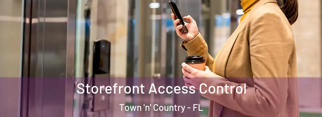  Storefront Access Control Town 'n' Country - FL